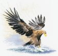 画像1: Eagle in Flight　　和文説明書付 (1)