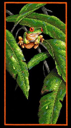 画像1: Tree Frog among Leaves　　和文説明書付