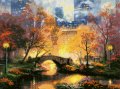 ◎ Central Park in The Fall  ◎　和文説明書付