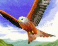 画像3: Red Kite in Flight (3)