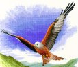 画像2: Red Kite in Flight (2)