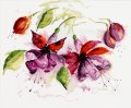 Fuchsia in watercolor　　和文説明書付