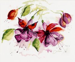画像1: Fuchsia in watercolor　　和文説明書付