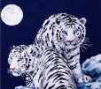 画像2: Moonlit Tigers　　和文説明書付 (2)