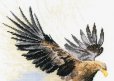 画像2: Eagle in Flight　　和文説明書付 (2)