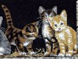 画像3: Barnyard Kitties　　和文説明書付 (3)