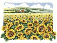 画像1: Sunflower Field　　和文説明書付 (1)