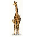 画像1: Giraffe Mother & Baby　　和文説明書付 (1)