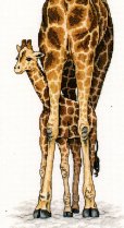 画像2: Giraffe Mother & Baby　　和文説明書付 (2)
