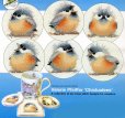 画像1: Chick Coasters( 6 designs )　和文説明書付 (1)