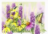 画像: ◎　Butterfly bush and echinacea 27ct版　◎　和文説明書付